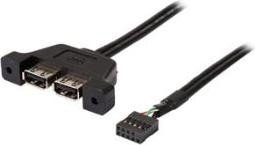 ASROCK DESKMINI 2XUSB2.0 CABLE retail